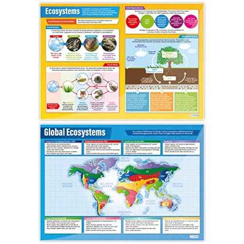 Daydream Education Geography Ecosystems Posters - Set of 6 - EXTRA LARGE 33¡± x 23.5¡± - Gloss Paper - Geography Middle & High School Classroom Decoration - Wall Charts