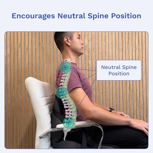 Lumbar Support Pillow for Office Chair | Adjustable, Doctor-Developed Memory Foam Back Seat Cushion | Ergonomic Pressure Relief & Enhanced Blood Flow (New & Improved)
