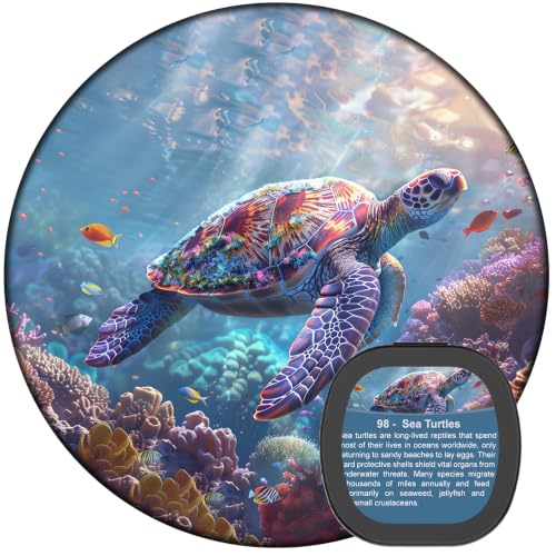 Sunbox Ocean-Themed Galaxy Projector Replacement Discs 6-Pack 4K HD