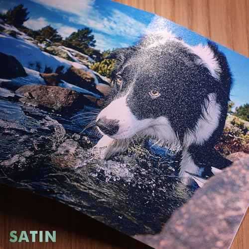 A-SUB Premium Photo Paper Satin 13x19 72lb for Inkjet Printers 50 Sheets, Single Sided