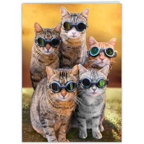 Funny Cat Birthday Card for Women, Men, Family, Friends - Hilarious card for a bright candle birthday celebration!