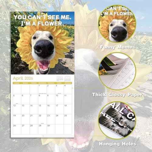 2026 Wall Calendar - JAN 2026 - DEC 2026, Funny Dog Calendar 2026, 12" x 24" Opened, 2026 Calendar, 12-Month Calendar, Funny Dog Memes Pics