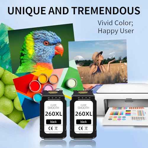 260XL Black Ink Cartridge Replacement for Canon 260 PG-260 PG260 XL PG260XL Black Ink Compatible for TR7020 TR7020a TR7022 TS6420 TS6400 TS5300 TS5320 TS6420a Printer(2 Black)