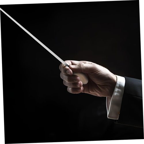 Toyvian Music Conducting Stick with Solid Wood Handle Precision Control Wand for Orchestra Choral Directors for Educational Use Conductors Training