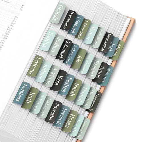 Mr. Pen- Bible Tabs, 75 Tabs, Frozen Lake Theme, Laminated Bible Tabs for Women and Men, Bible Tabs for Study Bible, Bible Index Tabs, Bible Book Tabs, Bible Labels Tabs, Mr Pen Bible Tabs