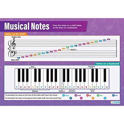 Daydream Education Music Theory Posters - Music Notes & Scales - Set of 5 - EXTRA LARGE - 33" x 23.5" Gloss Paper - School and Classroom Posters