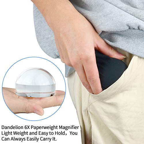 Dandelion 2.5 Inch 6X Dome Magnifier with Pouch - Self-Focusing Table Magnifying Glass