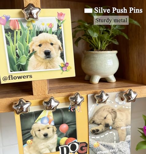 Tandarui Silver Star Push Pins for Bulletin Board - 25 Pack Thumb Tacks