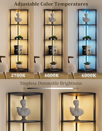 Black Corner Shelf with LED Light, 5-Tier Floor Lamp & Display Rack, 62" Standing Bookcase for Living Room & Bedroom