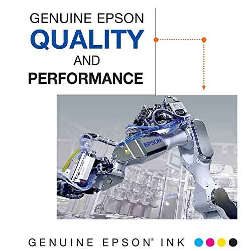 EPSON 786 DURABrite Ultra Ink Standard Capacity Black Dual Cartridge Pack (T786120-D2) Works with WorkForce WF-5110, WF-5190, WF-5620, WF-5690