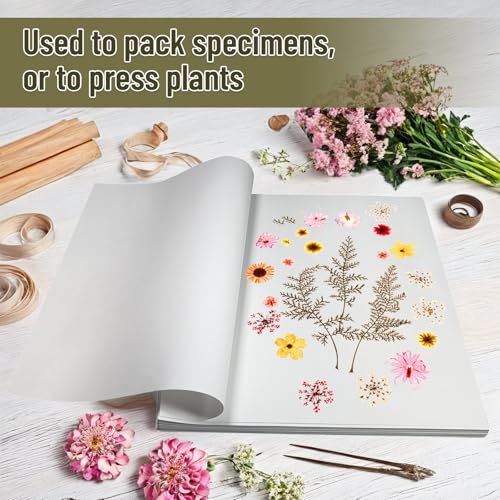 Lineco Acid-Free Herbarium Specimen Newsprint Paper, Pack of 25