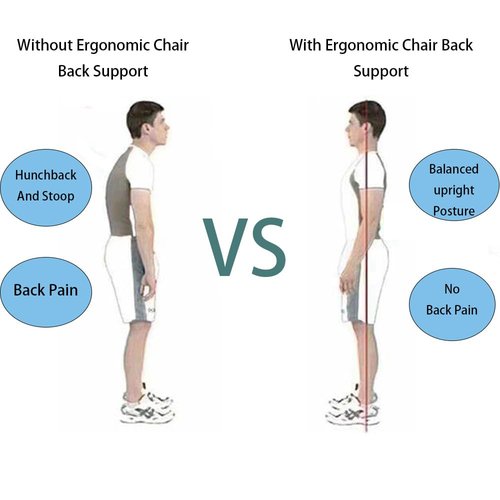 FACIOWN-Ergonomic Chair Back Support, Lumbar Support for Good Posture Correction and Back Pain Relief,Suitable for Office Chair,Car,Reading Chair,Office Chair Waist Support Cushion (Black)