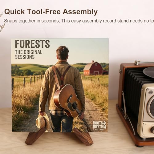 YBONRSQ Vinyl Record Stand – X-Frame 12" Album Holder, No-Tools Display