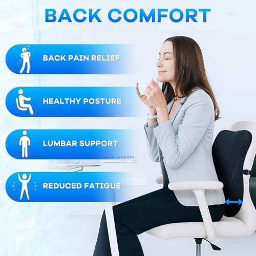Gel-Infused Seat Cushion & Memory Foam Lumbar Pillow Set,Non-Slip Bottom£¬Breathable Mesh Cover£¬Portable Handle - Ergonomic Support for Office Chair Cushion, Car Seat Cushion and Wheelchair£¬Black