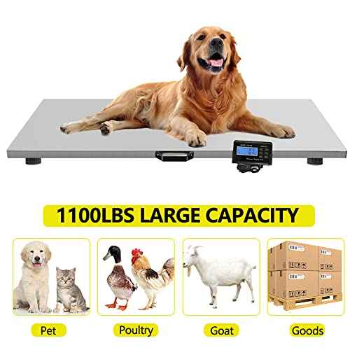 1100Lbs x 0.2Lbs Digital Livestock Scale Large Pet Vet Scale Stainless Steel Platform Electronic Postal Shipping Scale for Heavy Duty Large Dog Hog Sheep Goat Pig Sheep Scale