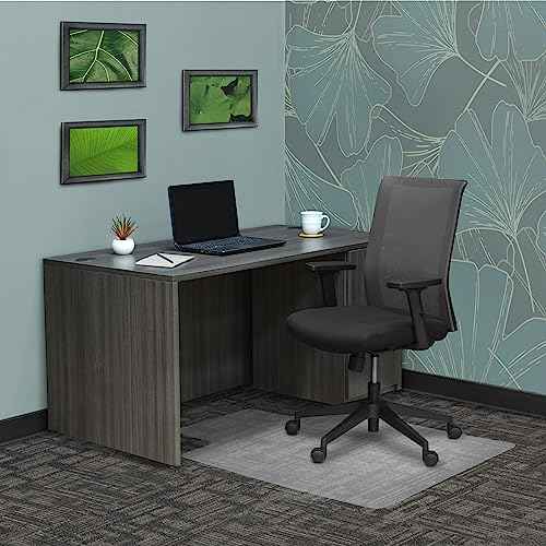 Romig Gripper Computer Office Desk Chair Mat for Carpeted Floors with Lip, Anti-Slip, Thick 2.2mm, 36 x 48 inch, Perfect for Work or Home Offices - Clear