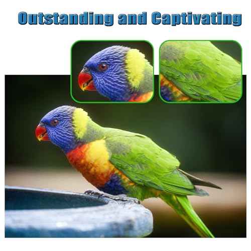 20N0W00 Waste Toner Box Compatible for Lexmark 20N0W00 Waste Bottle for C2326 C3224dw C3326dw C3426dw CS331dw CS431dw CX331adwe CX431adw MC3224 MC3326 MC3426i for xerox 008r13326 C235 C230 (2 Pack)