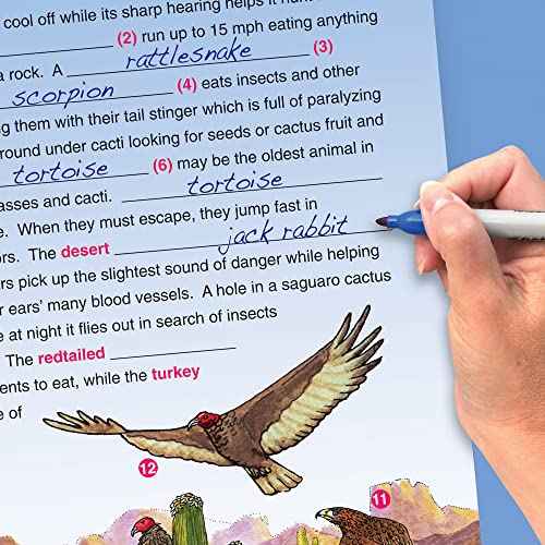 NewPath Learning 10 Piece Biomes Curriculum Mastery Flip Chart Set, Grade 5-10