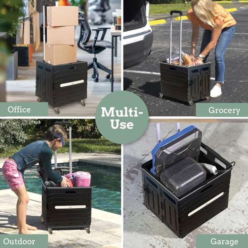 Inspired Living Collapsible Folding Utility Cart, Heavy-Duty Rolling Crate with 360¡Æ Wheels, Telescoping Handle, Hidden Lid, Holds 200 Lbs, Black