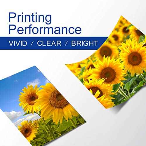 GREENRHINO Compatible Toner Cartridge Replacement for Konica TN328 TN328C (AAV8430/AV8450) to use for Minolta Bizhub C250i C300i C360i C7130i (Cyan, 1-Pack)