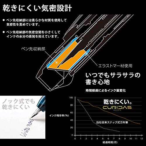 PLATINUM Fountain Pen, Curidus, Abyss Blue, Medium Point, PKN-7000#50-3