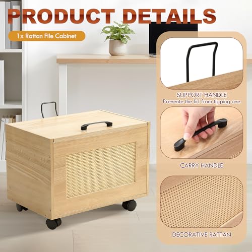 Rattan File Cabinet Hanging File Organizer Box with Lid Rolling Wicker Filing Cabinet for Home Office for Letter/Legal Size