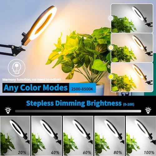 KIRKAS 12X Magnifying Glass with Light, Long Swing Arm, Any Color Modes & Stepless Dimming LED Magnifying Lamp with Clamp, Memory Function Lighted Magnifier for Crafts, Reading, Hobby, Close Work