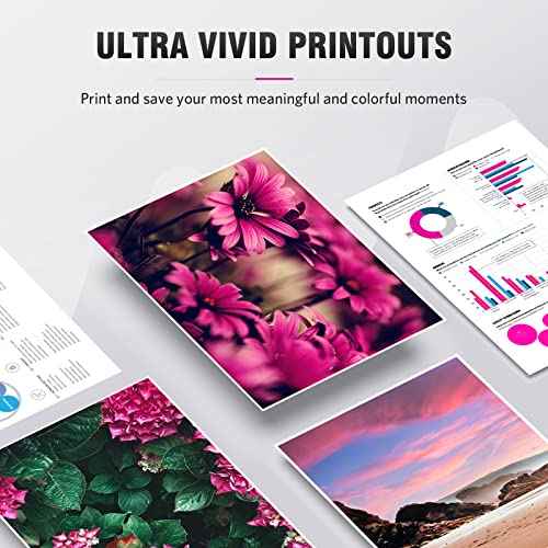 5 Packs Remanufactured T288XL Ink Cartridges Replacement for Epson 288XL T288XL 288 T288 High Yield Ink for Expression XP-430 XP-434 XP-440 XP-446 XP-340 XP-330-2 Black1 Cyan1 Magenta1 Yellow