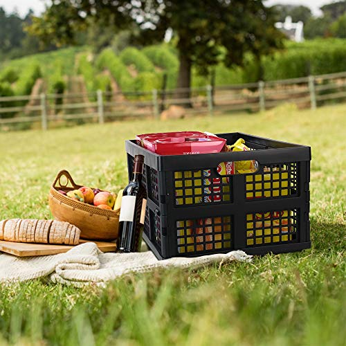 Morcte 34 L Plastic Rectangular Collapsible Crates, Folding Crates Storage, Pack for 3, Black