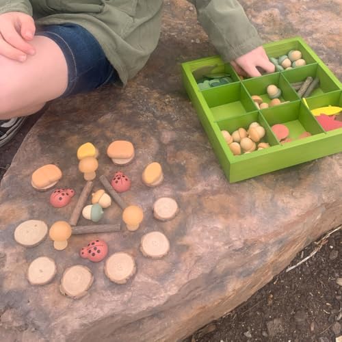 Wooden Sorting & Counting Set with Nature-Themed Pieces and Tray for Kids