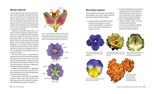 What's Wrong With My Plant? Visual Guide to Diagnosis & Organic Remedies