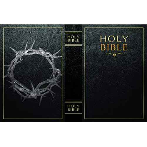 Fake Book Box - Small Safe Box with Combination Lock - Hidden Safe in Plain Sight - Diversion Safes - Secret Safes (Bible) (Large)