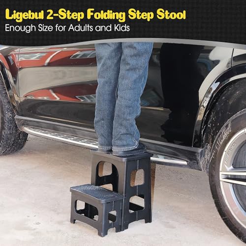2 Step Stool Foldable for Adults—Plastic Folding Step Stool in Black (Ligebul)