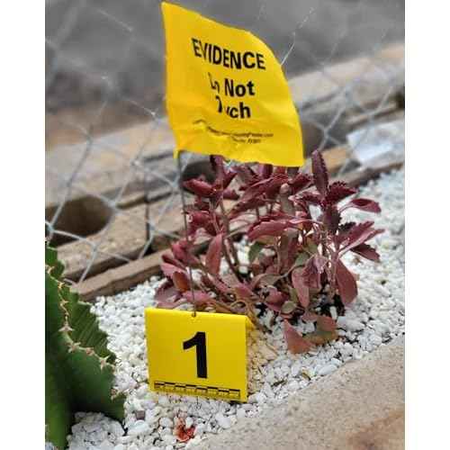 Crime Scene Evidence Tents with Scale, Numbered 1-20