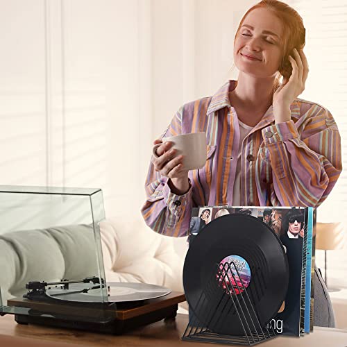 EASEPRES Black Vinyl Record Holder Storage, 9 Slot Metal Desk Organizer