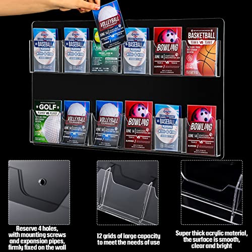 Eersida Acrylic Brochure Holder 12 Pockets Wall Mount Display Stand
