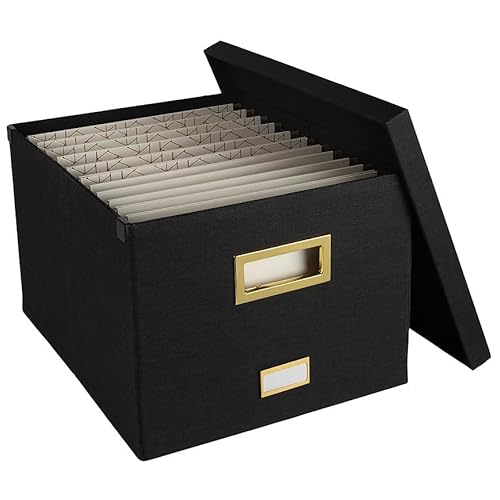 BLU MONACO Hanging File Box with Lid - Black Document Organizer for Letter & Legal Size Paperwork