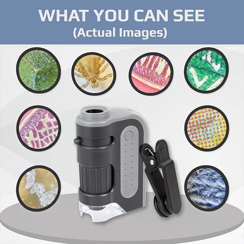 Carson MicroBrite Plus Microscope - 60x-120x LED Lighted Handheld Educational Toy