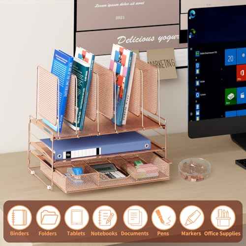 Rose Gold Desk Organizer, Office Organization with Vertical File Holder, File Organizer with Drawer and Office Supplies, Desk Accessories and Workspace Organizers (Rose Gold)