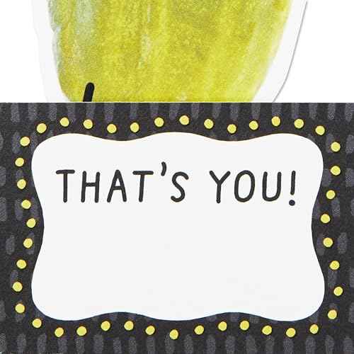 Hallmark Paper Wonder Shoebox Funny Pop Up Card (Big Dill) for Birthdays, Graduation, Congratulations