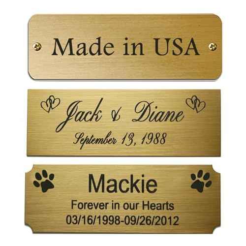 Engraved Plate, Custom Personalized, Brushed Gold Solid Brass Picture Frame Plaque Name Label Art Tag for Frame, with adhesive backing or screws - Indoor use only, Made in USA, 3" W x 1" H