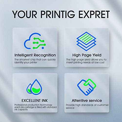 PG-275 Black Ink Cartridge Combo Pack Replacement for Canon 275 275 XL PG-275 275XL High Yield Black Ink for PIXMA TS3520 TS3522 TS3500 TR4700 TR4720 TR4722 Printer (2 Pack)