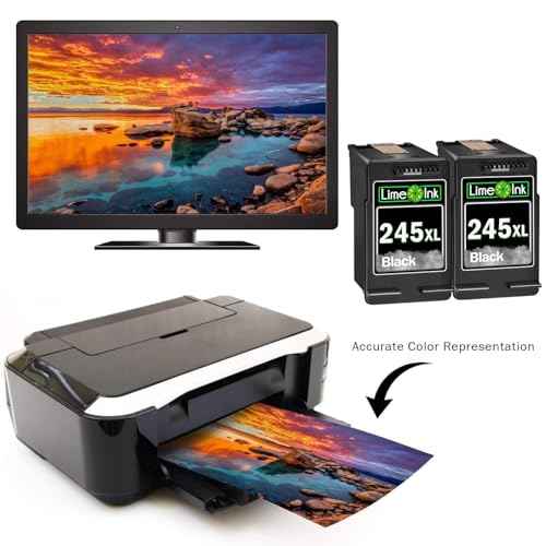 Limeink 2 Remanufactured Ink Cartridges Replacement for Canon 245 XL Black Ink Cartridge for Canon 245xl Black for Printer 245xl Cartridge PG-245xl 2 BK