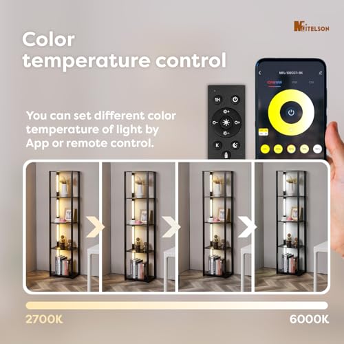 LED Floor Lamp with Shelves, Shelf Lamp with Remote for Bedroom and Living Room, Corner Display Floor Lamps with Storage, Modern Dimmable Floor Lamp with 5-Tier Open Shelve (Black)