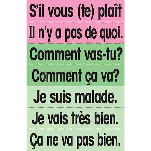 French High Frequency Vocabulary Cards and Teaching Guide