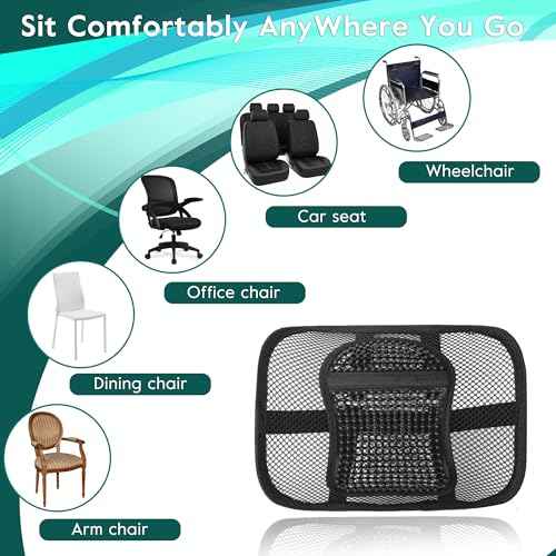 Samyoung 2 Pack Mesh Back Lumbar Support, Back Support Seat Cushion with Breathable Mesh for Office Chairs Car 12¡± x 16¡±