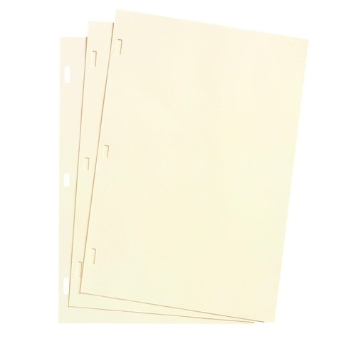 Wilson Jones Looseleaf Minute Book Ledger Sheets, Ivory, 11" x 8-1/2, 100 sheets/box (901-10)