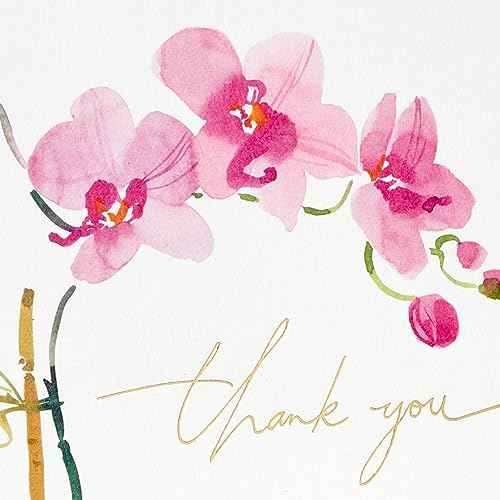Hallmark Pink Orchid Thank You Notes (20 Blank Cards with Envelopes) for Bridal Shower, Baby Shower, Wedding, Birthday