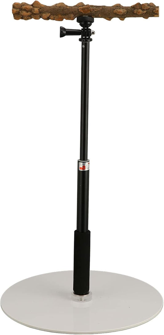 Skiennix Bird Play Stand - Portable Detachable Perch for Indoor/Outdoor Travel | Ideal for Climbing and Playing