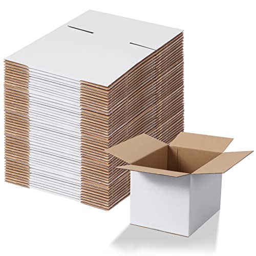 Calenzana 8x6x6 Shipping Boxes Set of 40 - White Corrugated Cardboard Mailers for Small Business & Packing
